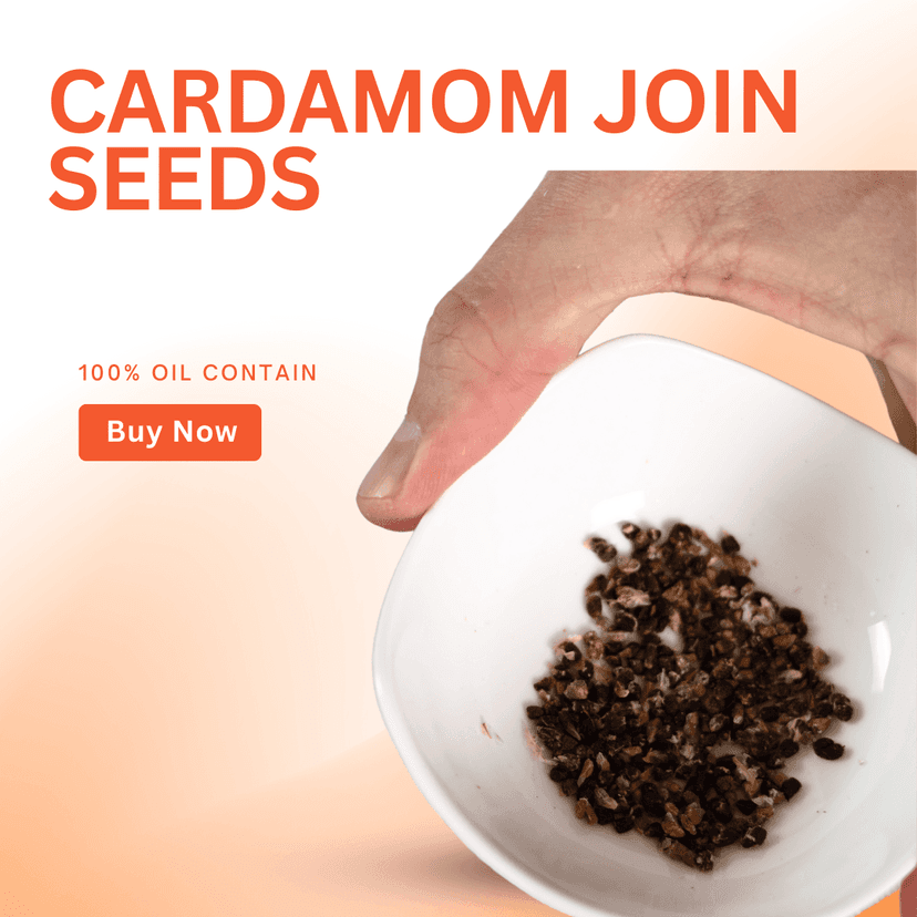 Green Cardamom JOIN SEEDS — photo 1